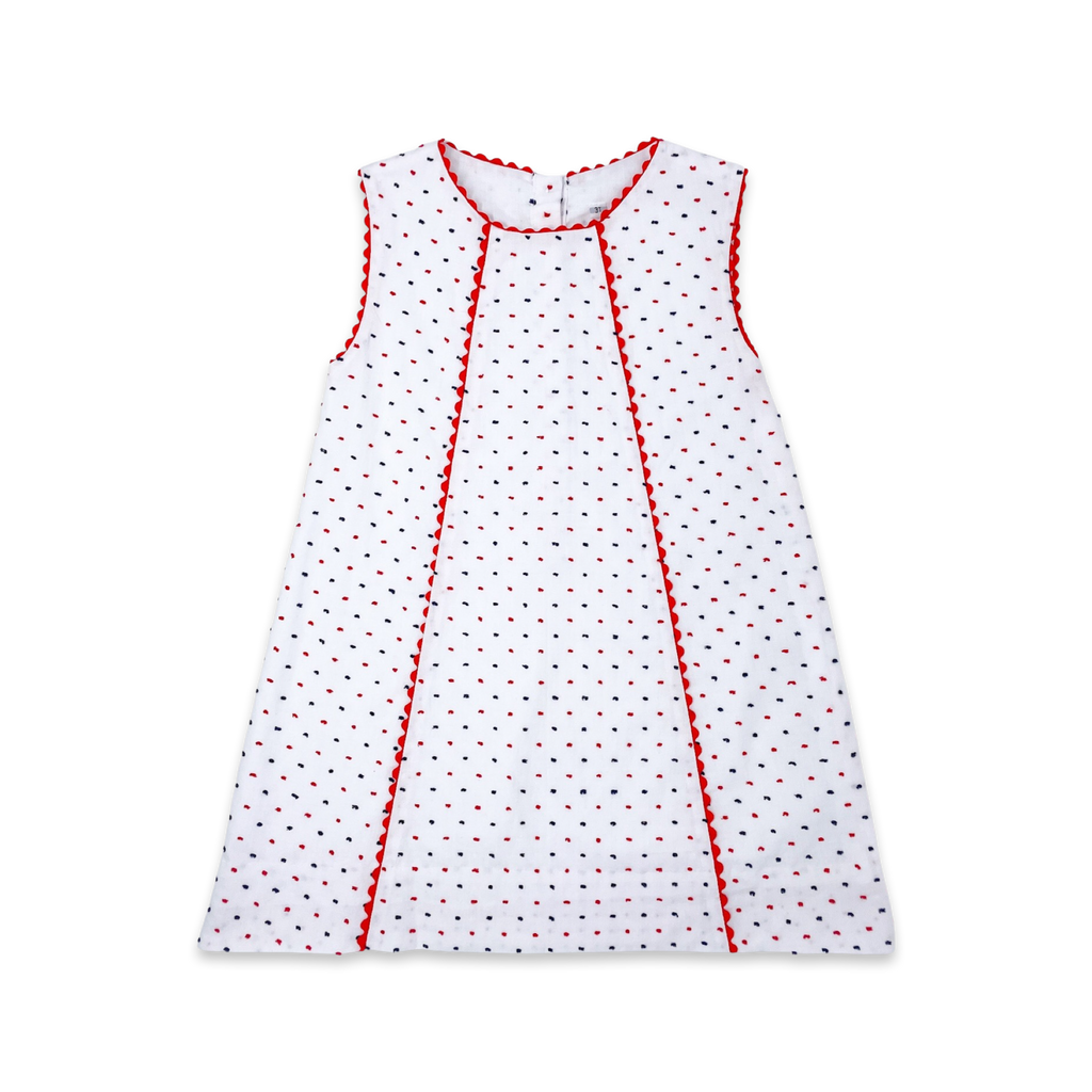 Red & Navy Swiss Dot A-Line Dress