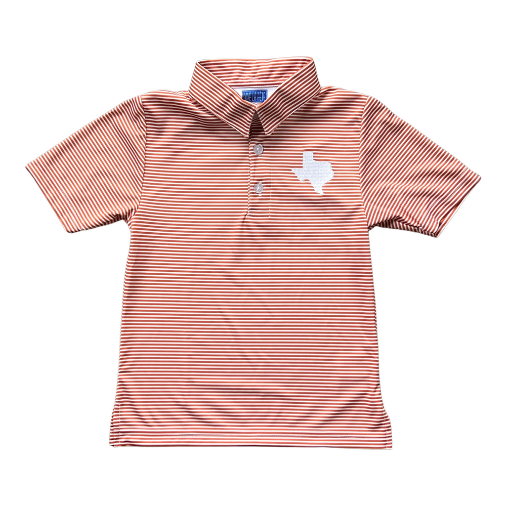 Stripe Texas Embroidered Polo