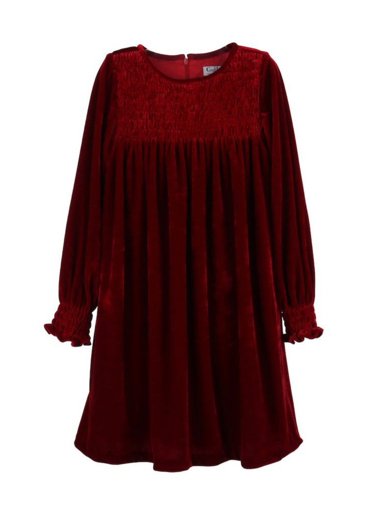 Ruched Red Velvet Dress